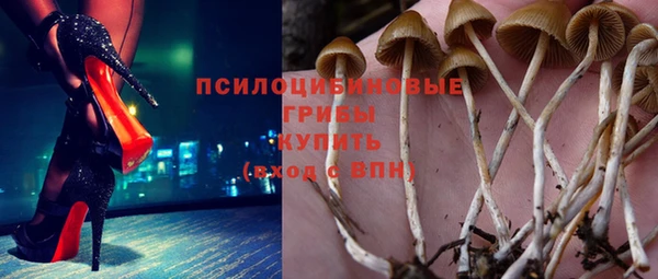 индика Алексеевка