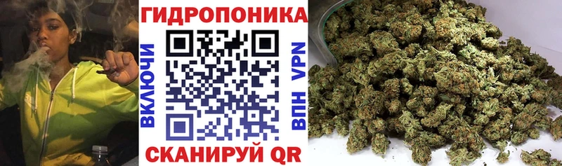 дарнет шоп  блэк спрут как войти  Шишки марихуана тримм  Туймазы 